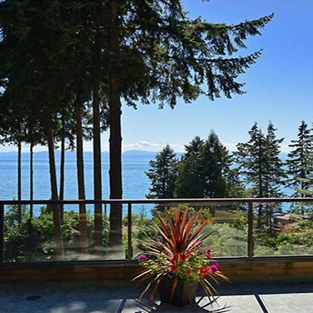 Sunshine Coast Treetop B&B 锡谢尔特 外观 照片