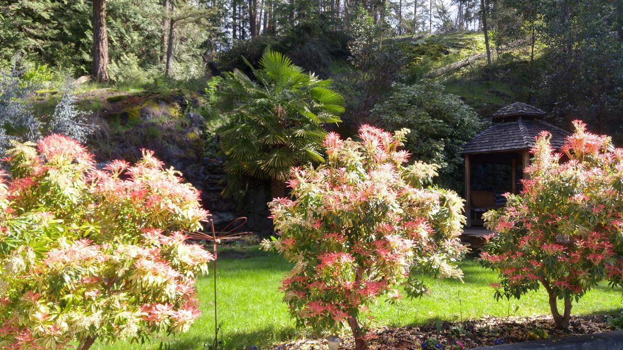 Sunshine Coast Treetop B&B 锡谢尔特 外观 照片