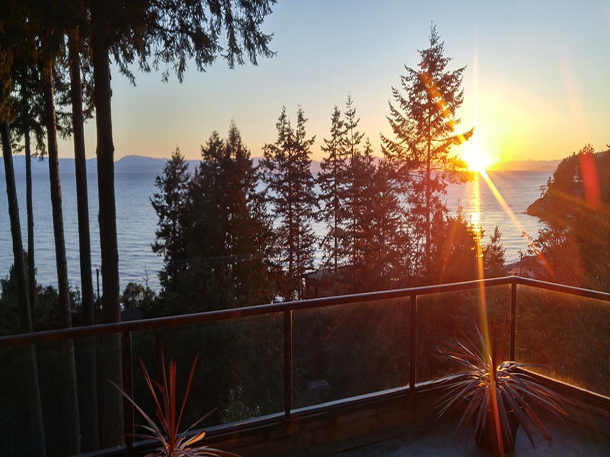 Sunshine Coast Treetop B&B 锡谢尔特 外观 照片