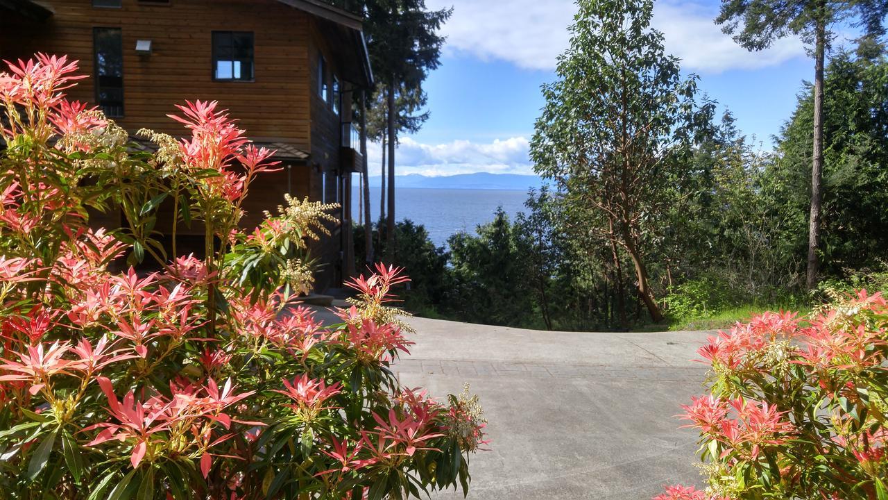 Sunshine Coast Treetop B&B 锡谢尔特 外观 照片
