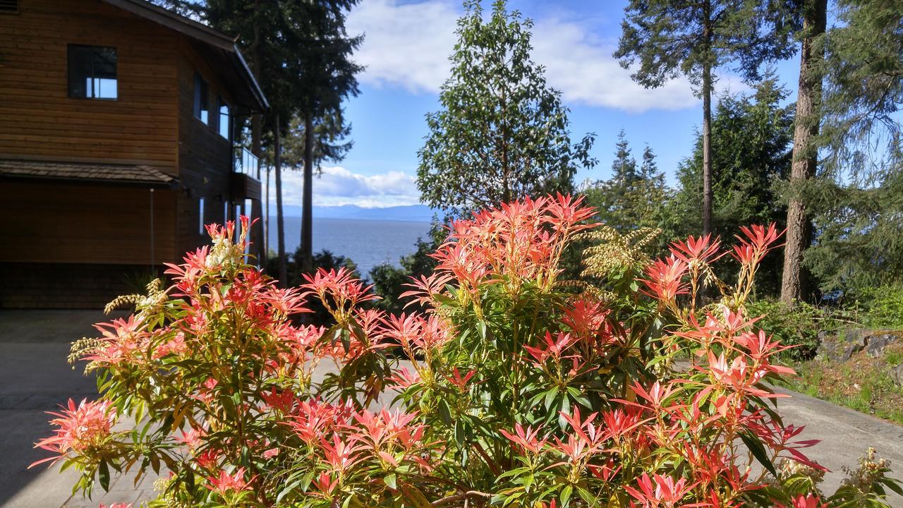 Sunshine Coast Treetop B&B 锡谢尔特 外观 照片