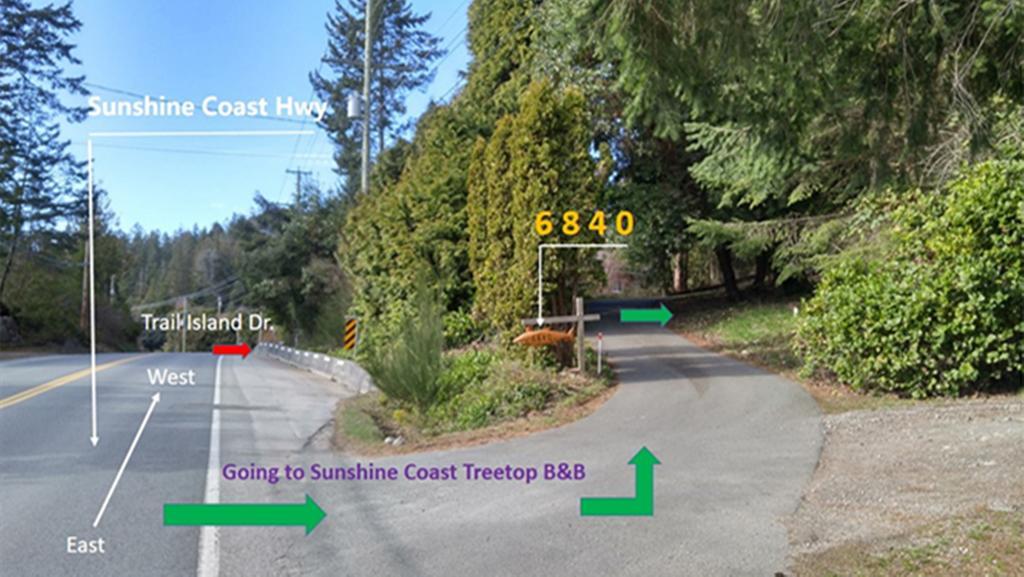 Sunshine Coast Treetop B&B 锡谢尔特 外观 照片