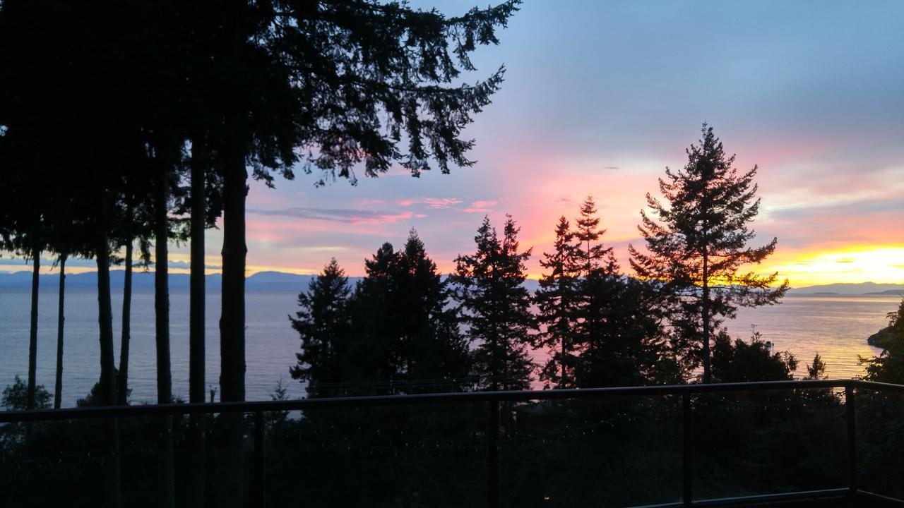 Sunshine Coast Treetop B&B 锡谢尔特 外观 照片