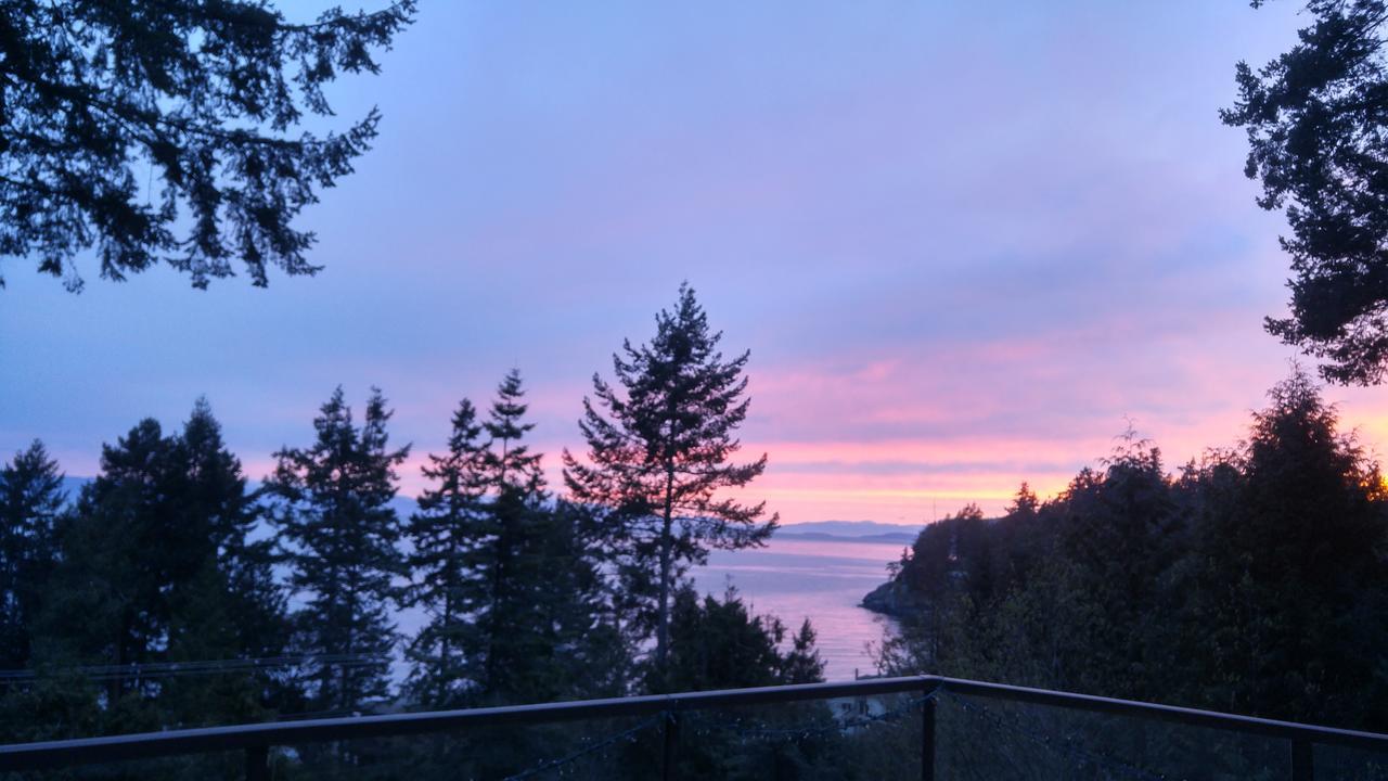 Sunshine Coast Treetop B&B 锡谢尔特 外观 照片