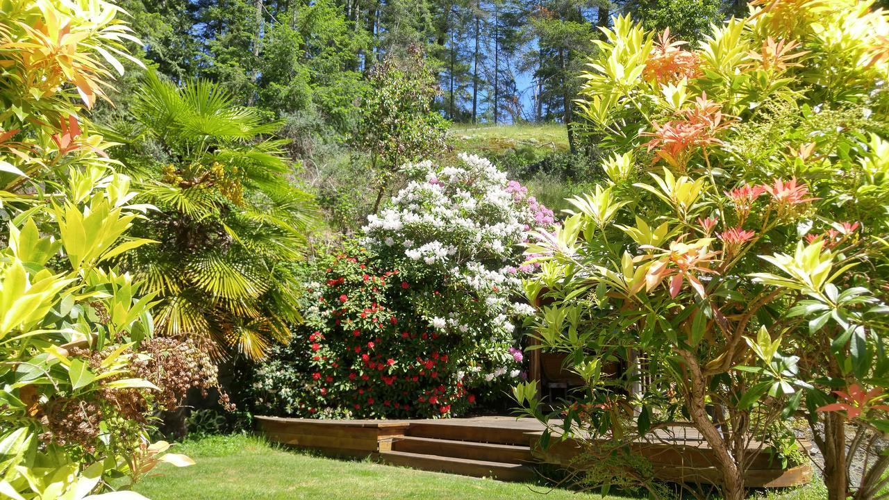 Sunshine Coast Treetop B&B 锡谢尔特 外观 照片
