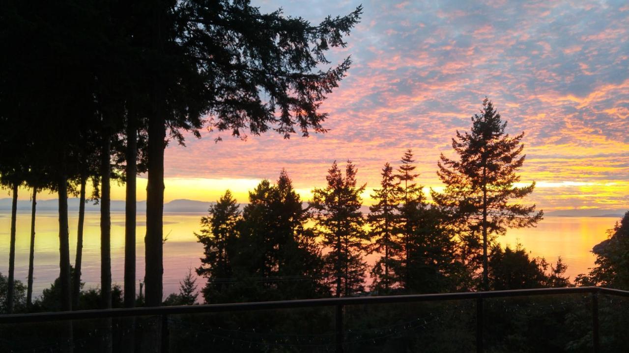 Sunshine Coast Treetop B&B 锡谢尔特 外观 照片