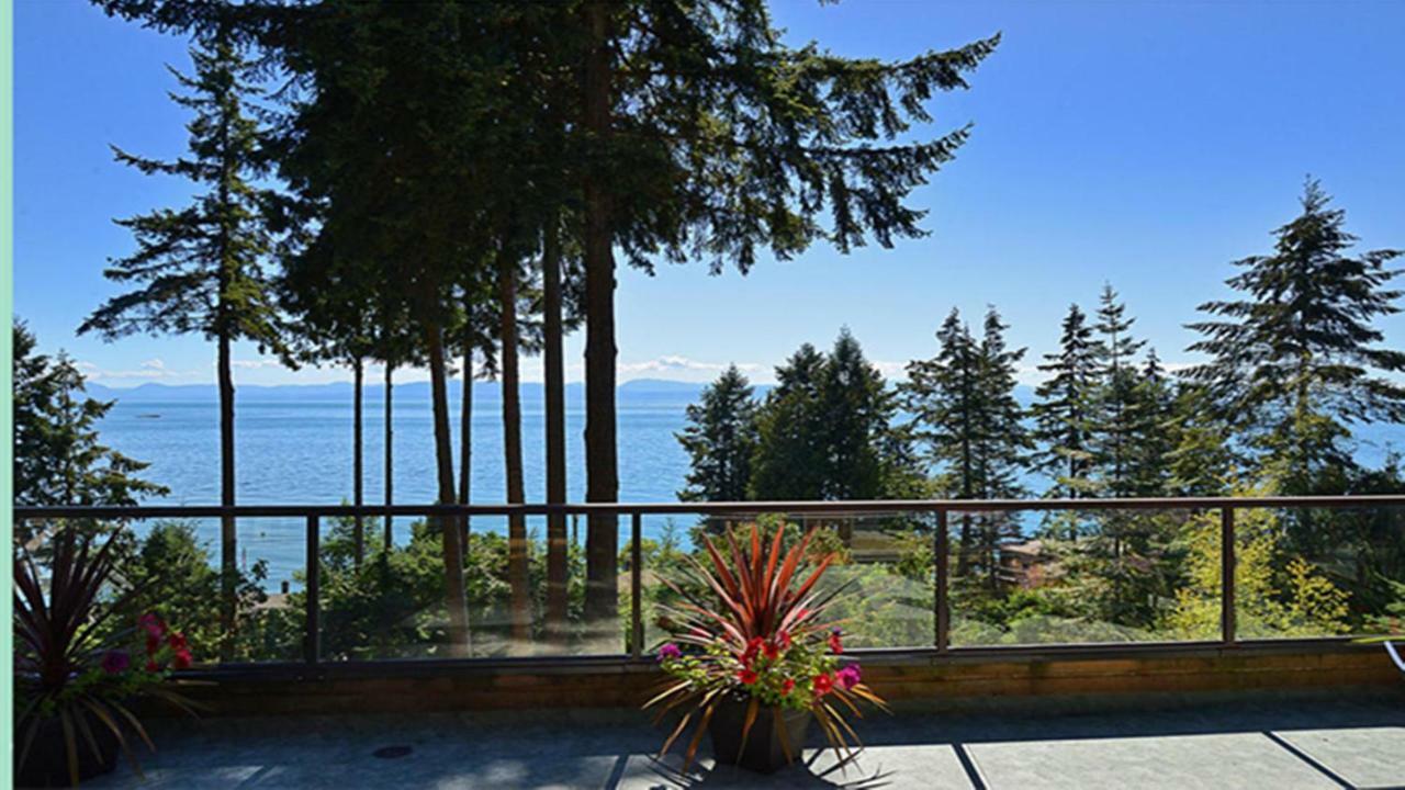 Sunshine Coast Treetop B&B 锡谢尔特 外观 照片